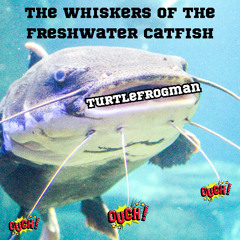 The Whiskers of the Freshwater Catfish