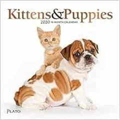 [VIEW] EPUB 💞 Kittens & Puppies 2020 7 x 7 Inch Monthly Mini Wall Calendar with Foil