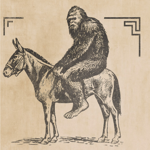 Mule Song