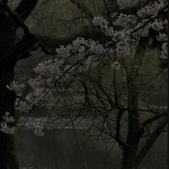 Depression And Emotional Comfort (Bumbledee x Flatsound)