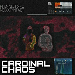 CARDINAL CHAOS feat. nobodyinfact