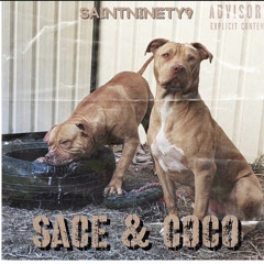 SACE & COCO - SAINTNINETY9
