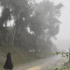 tripaloski - Moonlit Mansions