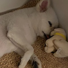 Best Part COVER -Daniel Caesar (feat.H.E.R)