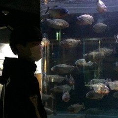 Superstar (Apex X Vinxen)