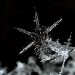 Denver Ecstatic Dance - Sunday December 17, 2023