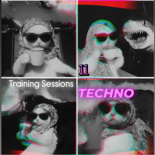 TECHNO 11