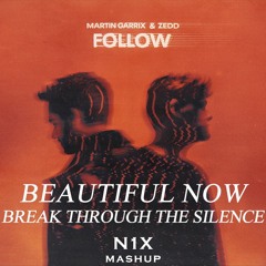 Martin Garrix & Zedd - Follow (N1X Mashup)