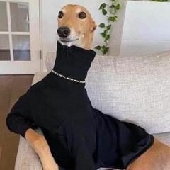 Estímulo Testical