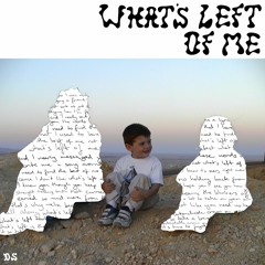 Danny Starr - What's Left Of Me