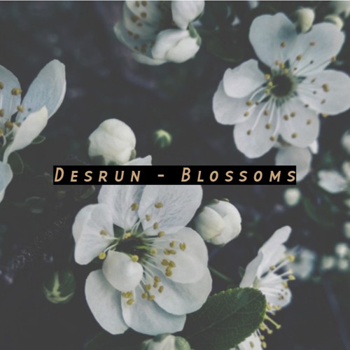 Blossoms