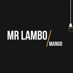Mr Lambo - Mango (slowed+reverb) by.styx