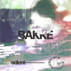 Gradient Guestmix by Bakke [014]
