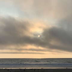 Label Focus: Rhythm Section INTL - Live Mix