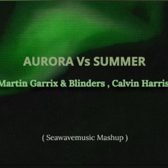 Martin Garrix & Blinders , Calvin Harris - AURORA Vs SUMMER ( Seawavemusic Mashup )