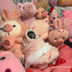 mini mix: may - drum heavy, bass heavy, electro & ghetto tech