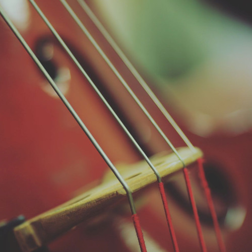 Breath of the Strings