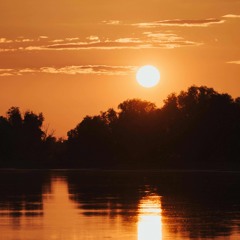 Surrounded by bamboo at KOZ