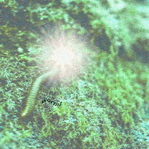 ~~⋁⋁✿☈⋀⋀☡~~