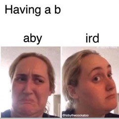 that’s my bird i don’t know you