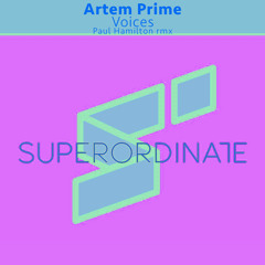 Artem Prime - Voices (Paul Hamilton Rmx) [Superordinate Music]