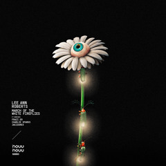 PREMIERE: Lee Ann Roberts - March Of The White Fireflies (Frazi.er Remix)[NN006]