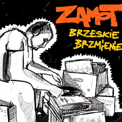 13. Brzeskie Brzmienie (LP 2012) - Outro