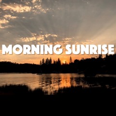 Morning Sunrise ~ Prod. by PURPLETONIO (Tropical HiFi Chill Hip Hop Vibes Beat)