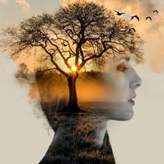 Sky Phone Easy Combo Remix