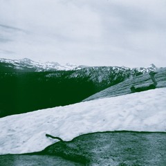 Throw Me In a Ditch When I Die