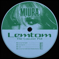 PREMIERE: Lemtom - I've Got The Feelin' [Miura]