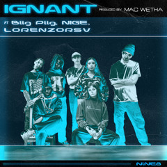 Ignant (feat. Lorenzorsv, Nige & Biig Piig)