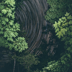 Fiat Lux (No Shadows Mix)