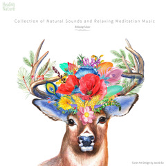 숲의 물소리와 잔잔한 음악 Forest Stream with Calm Music