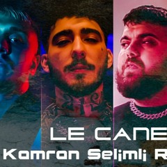 MUTİ - LE CANE feat. UZİ x CRİTİCAL x HEİJAN (Kamran Selimli Remix )