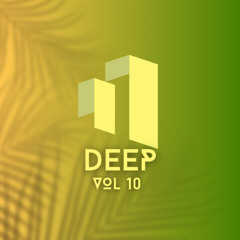 DEEP HOUSE VOL 10 (MISPLACED RECORDS TRIBUTE)
