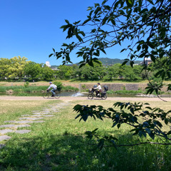 Two bicycles