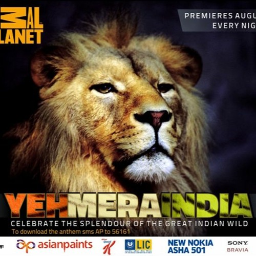Animal Planet Live Tv Channel In Hindi Free Download Stream Animal Planet Hindi Video Download -- __LINK__ by Christina