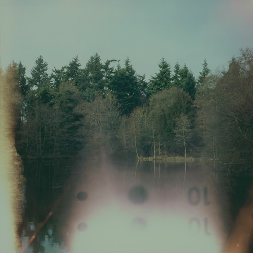 ILUITEQ - A Sylvan Elegy