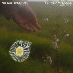 Flawed Mangoes & Von Sell - No Motivation