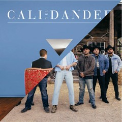 Cali Y El Dandee - Yo Te Esperaré [Intro Un X100to][DJ Colin Party Starter][10 EN STOCK] BUY