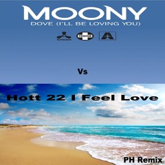 Moony Vs Hott 22 - Il Be Feelin Love (PH Remix)
