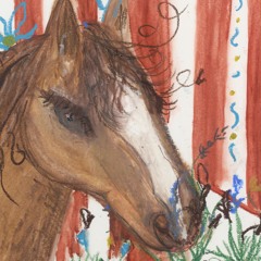 fr. nortesur - escuela de biodanza 2024 backing track