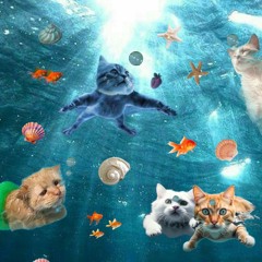 Echoes from the Underdeck 🪩🪼🐟