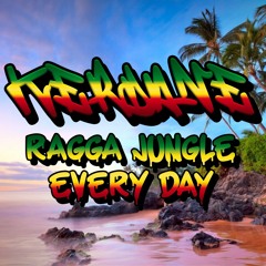 Ragga Jungle Every Day - Ragga Jungle Reggae Drum & Bass Rollers Mix