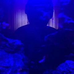 HOTEL!! DON'T TELL!! NOBODY!! (PROD. SILENTJAY)
