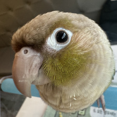 probs ill listen to this a lot.wav