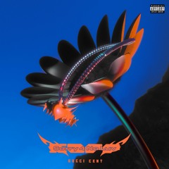 Gucci Cent - Sorry 4 No Luv