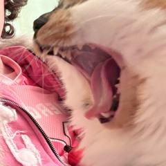 (23) (**mn you’re good at that) BREEDING IN MY DREAMS (sombr stop it)