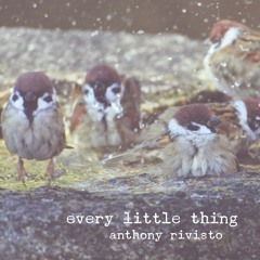 Every Little Thing by Anthony Rivisto